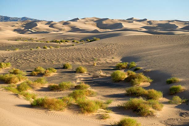 Conquering the Singing Dunes