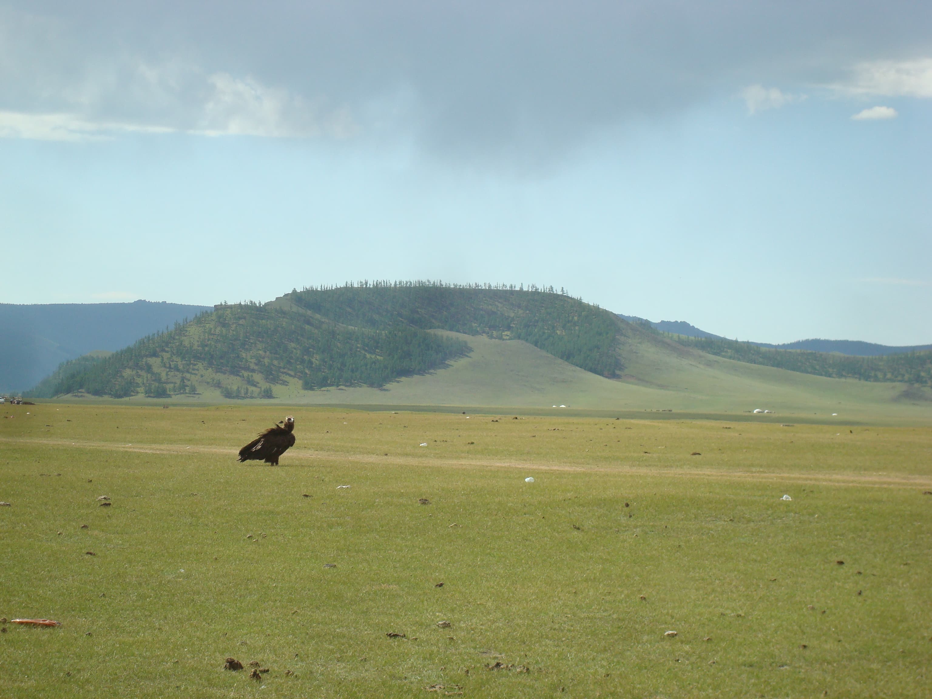 Northern Sub-Arctic Void: Taiga Bog Recovery & Tsaatan Outposts