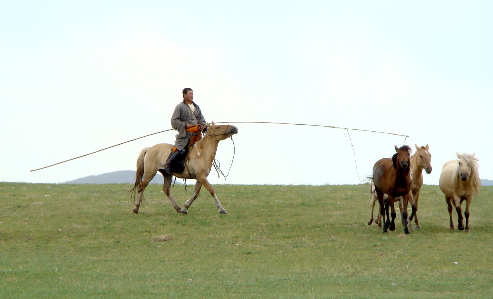 Ulaanbaatar to Khar Zurkhnii Khukh Nuur