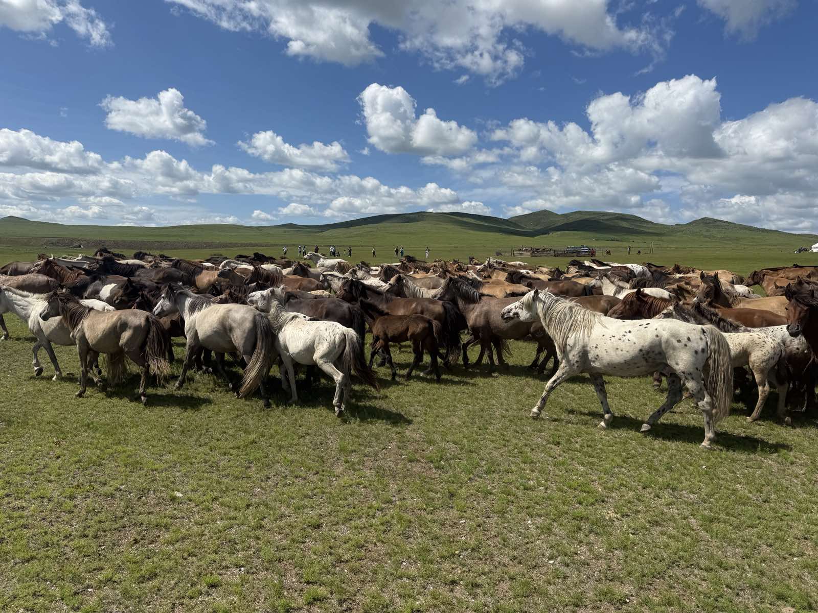 Chinggis City & The Steppe Horsemen