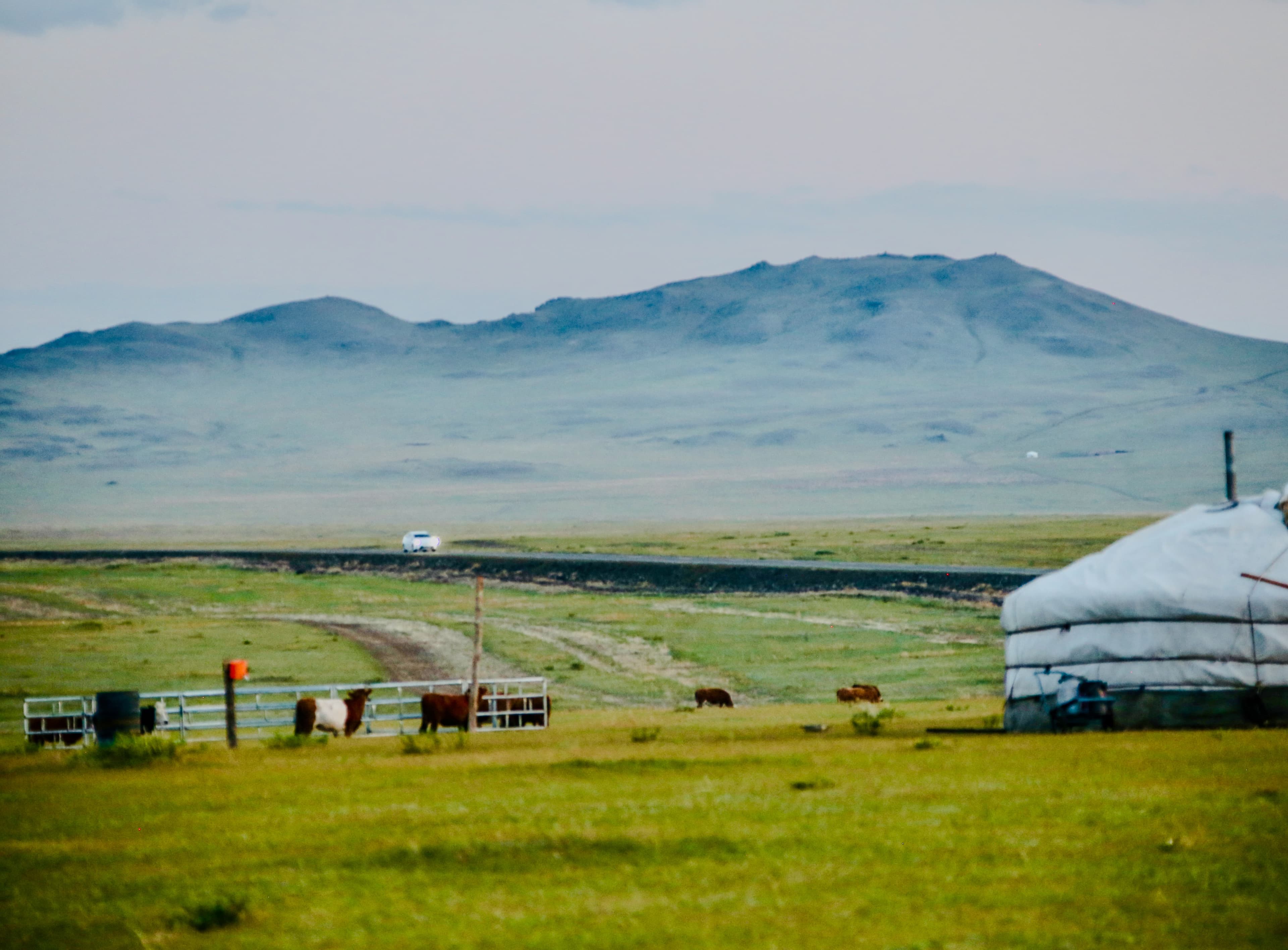 Return to Ulaanbaatar