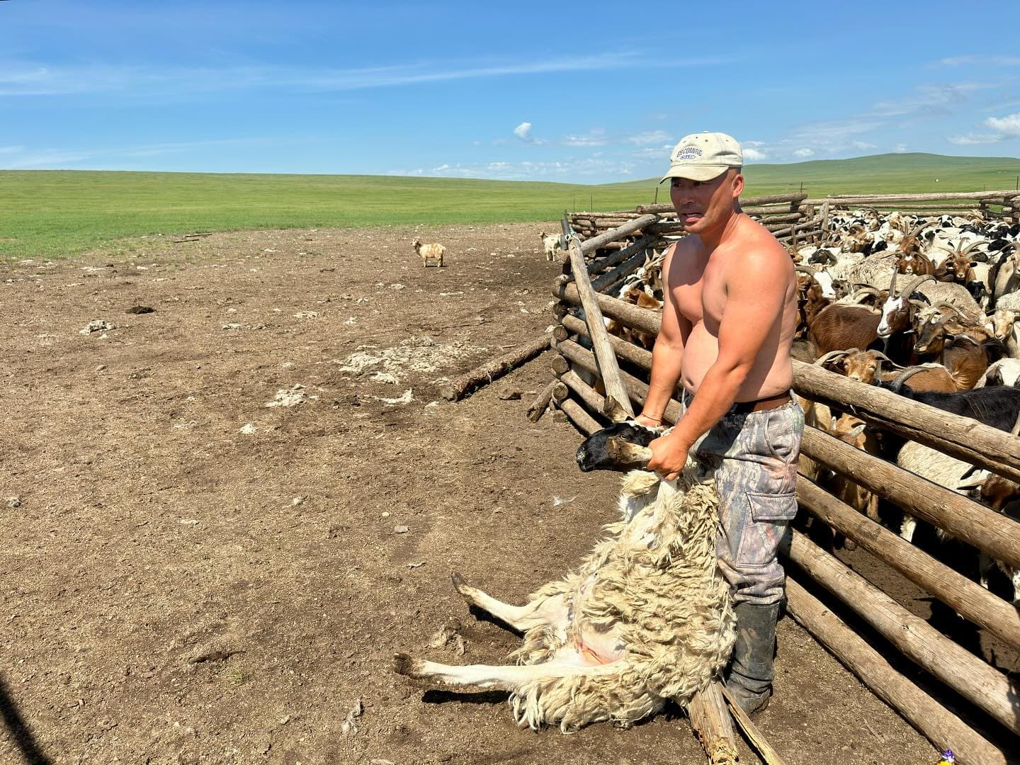 Ulaanbaatar to Khar Zurkhnii Khukh Nuur