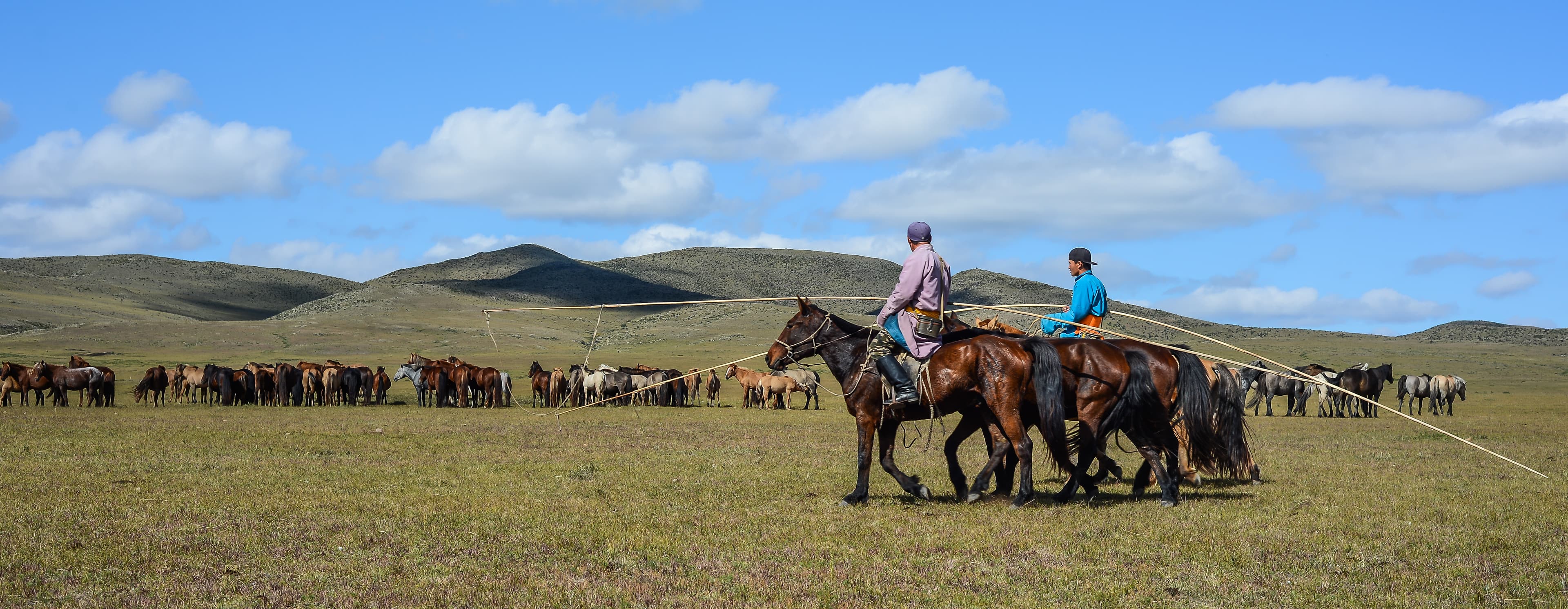 The Ten Thousand Horses & The Taiga Hound