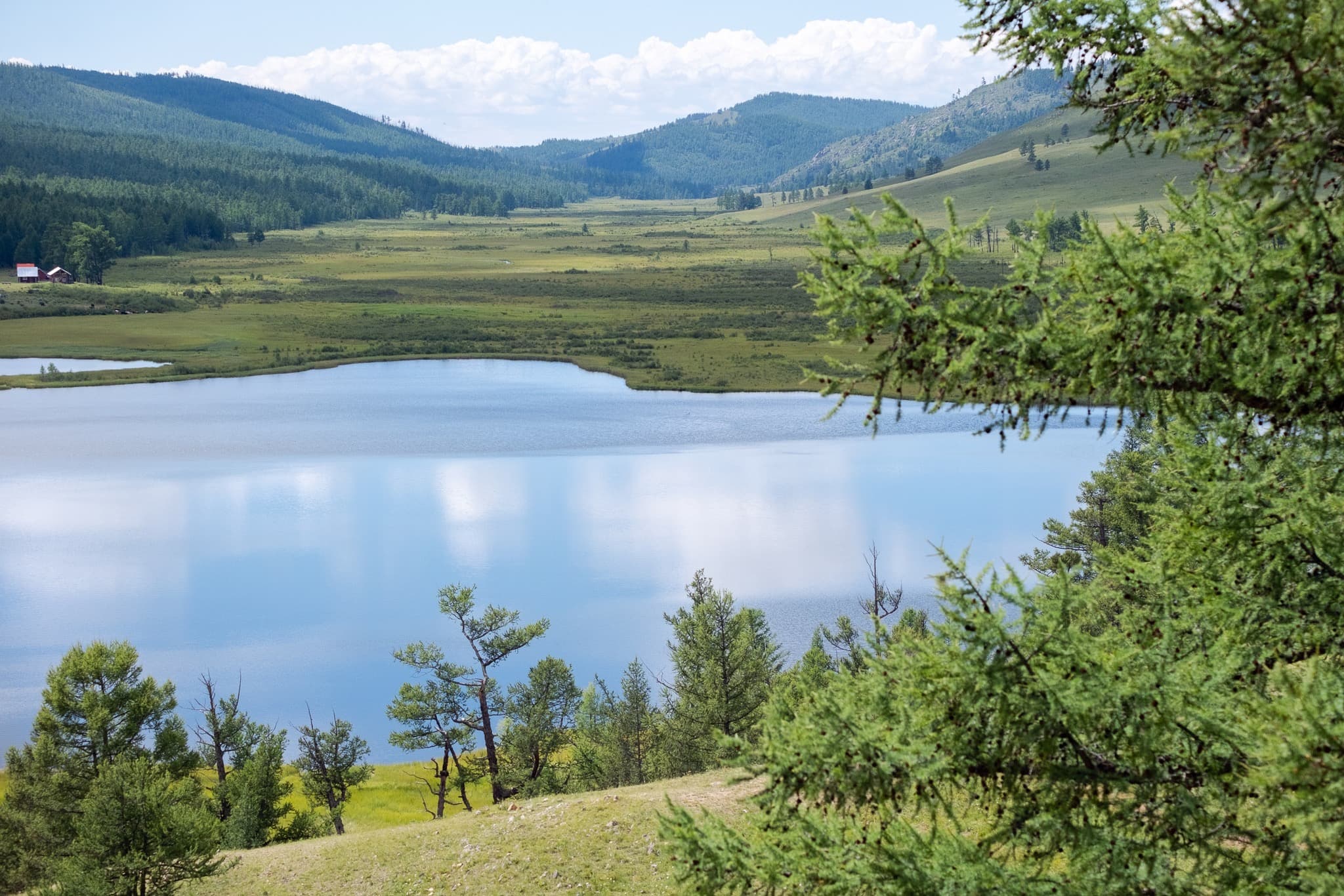 The Colossus of the Steppe: Beyond the Stainless Steel.