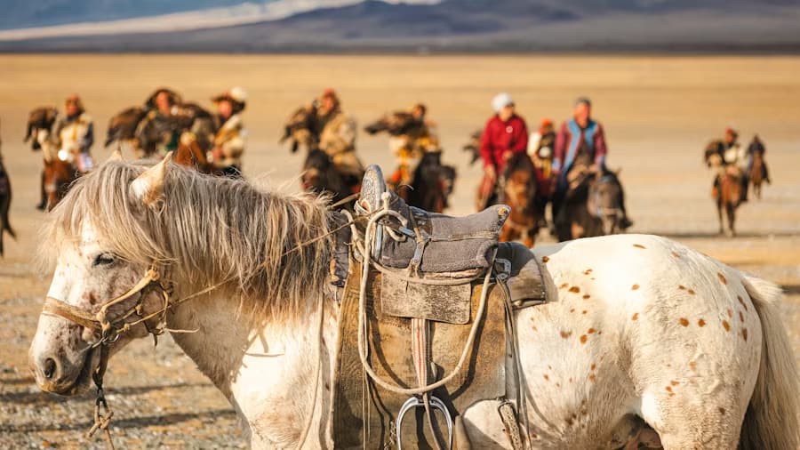 The Ten Thousand Horses & The Taiga Hound